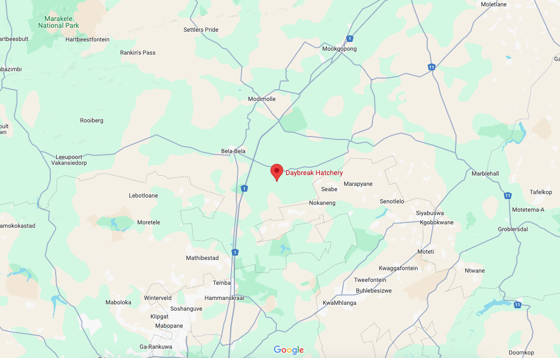 Google Maps placeholder image